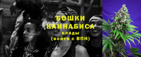 шишки Карталы