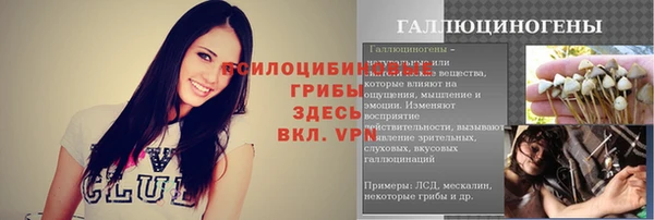 тгк Касимов