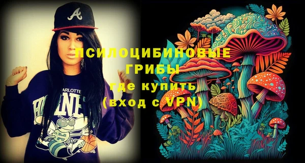 ALPHA-PVP Карпинск