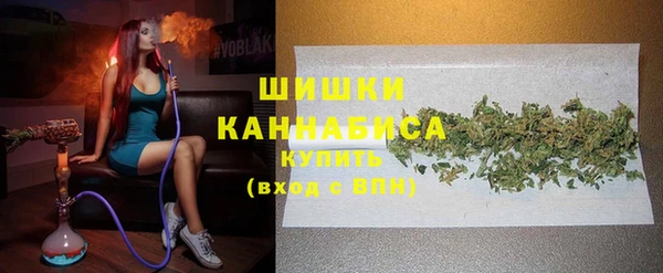 тгк Касимов